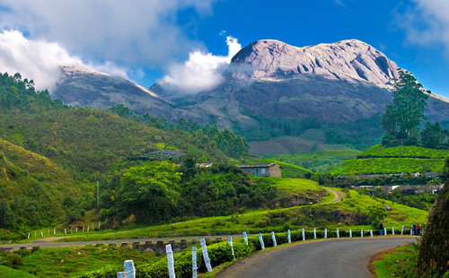 munnar-hillstation-kerala