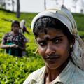 Tamil woman working