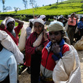 Female workers of a