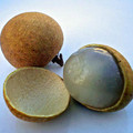 longan-fruits_md