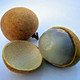 The longan (龍眼 lóng