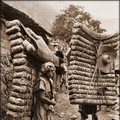 men-laden-with-tea-sichuan-sheng-china-1908-ernest-h-wilson-restored_md