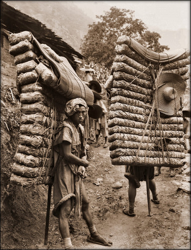 men-laden-with-tea-sichuan-sheng-china-1908-ernest-h-wilson-restored