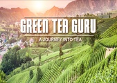 Green Tea Guru