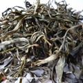 2013 Spring Mengsong Baotang Gushu Maocha