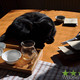 BaDa 2013 - blind tasting set 1 - Maybe the cat liked it too... :)