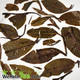 2012 Yunnan Sourcing "Qiu Yun" Wild Arbor Raw Pu-erh tea of Yi Wu mountain