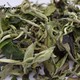 2014 Yunnan "Bai Mu Dan" White Tea