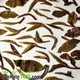 2014 Yunnan "Bai Mu Dan" White Tea